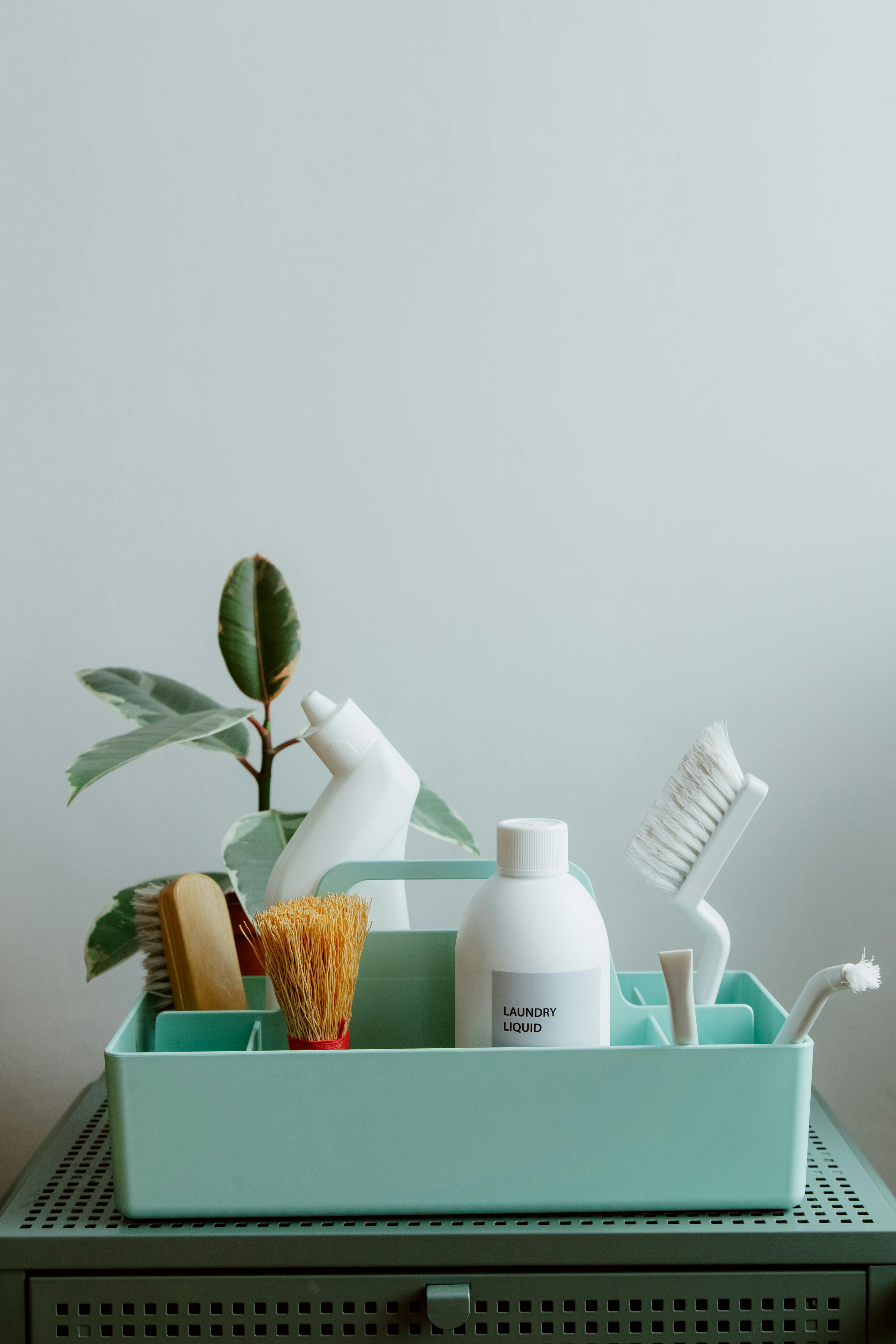 Spring Cleaning the Natural Way: A Room by Room Guide