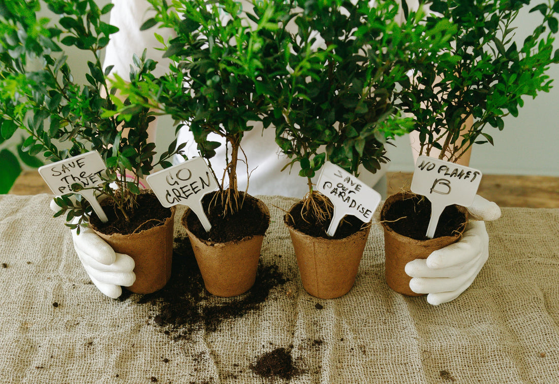 10 Small Habits That Make Your Home More Sustainable
