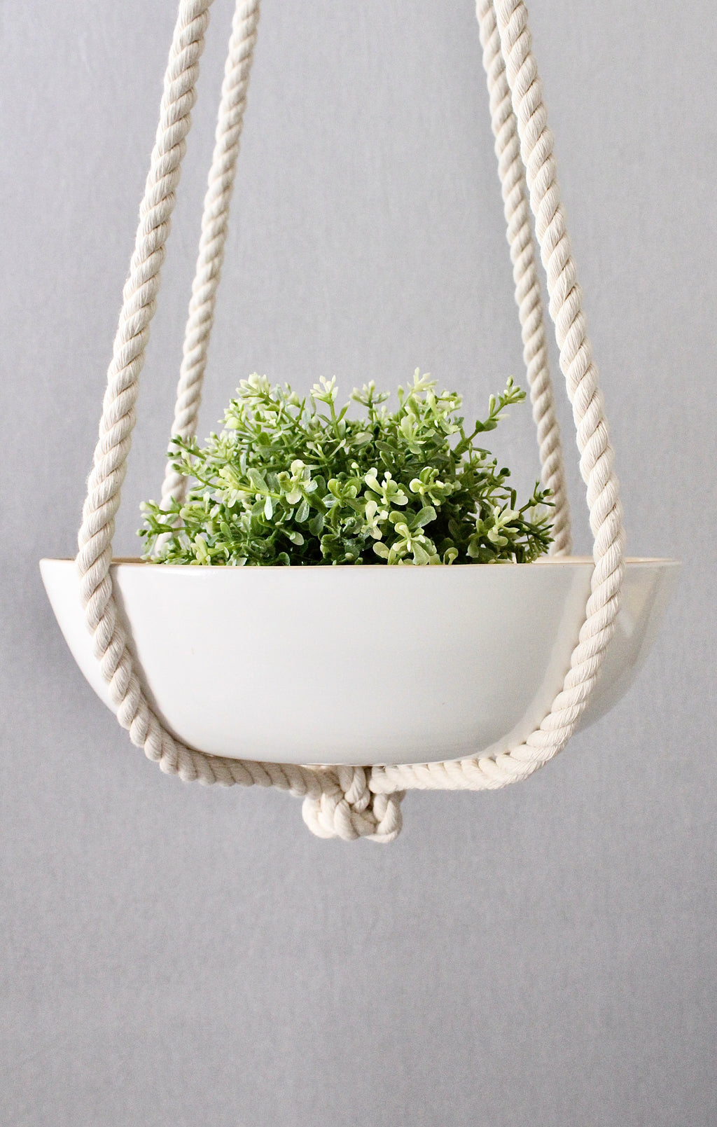 Macrame Plant Hanger