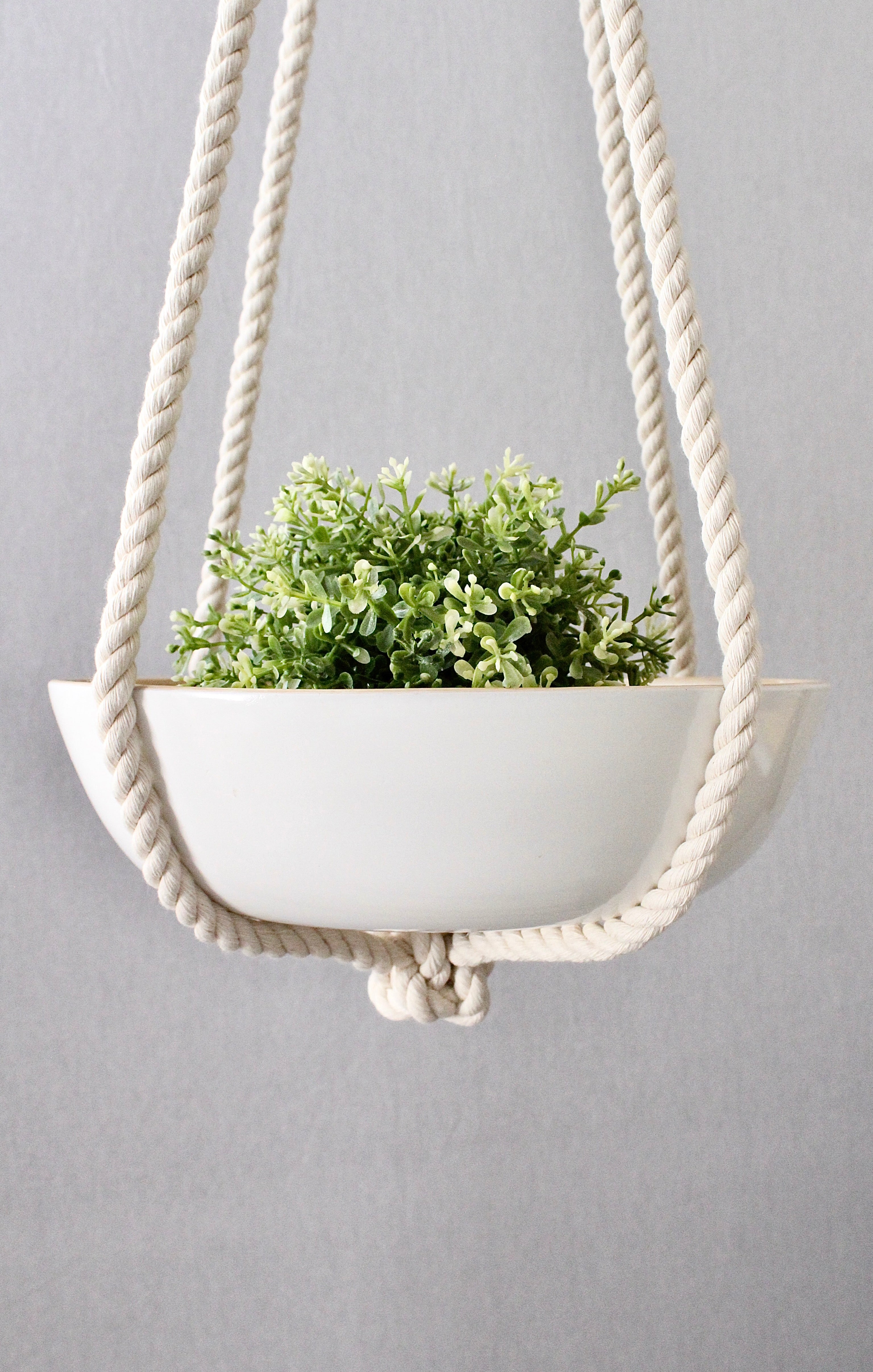 Macrame Plant Hanger