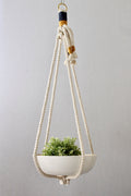 Macrame Plant Hanger